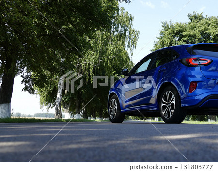 View From The Asphalt On A SUV Vehicle Is Transversely Country Road Stock Photo View From The Asphalt On A SUV Vehicle Is Transversely Country Road Stock Photo 131803777