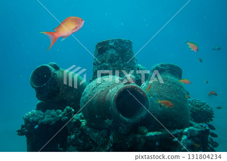 Amphoras at an artificial reef in the Red Sea, Hurghada, Egypt. Orange fish and blue ocean Amphoras at an artificial reef in the Red Sea, Hurghada, Egypt. Orange fish and blue ocean 131804234