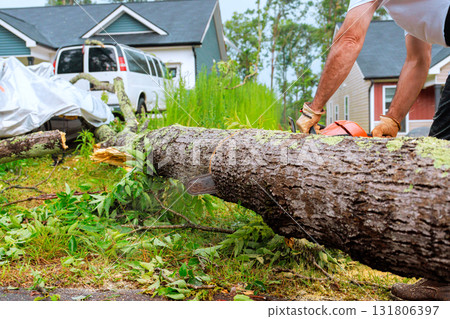 Worker uses chainsaw to cut large tree that has fallen in yard following recent storm damage. 131806397
