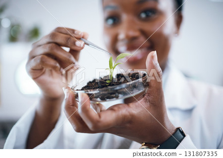 Science laboratory, black woman and plants in Petri dish for agriculture study, sustainability research and food security. Growth soil, eco friendly test and scientist or professional person portrait 131807335