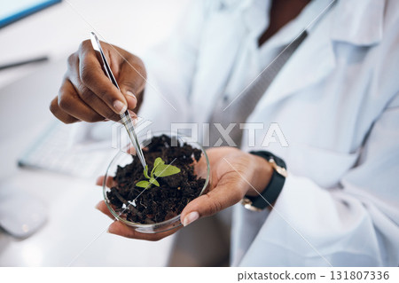 Plants research, science black woman and agriculture growth development, food security and medical study. Fertilizer soil, eco friendly test and scientist or professional person hands for healthcare 131807336