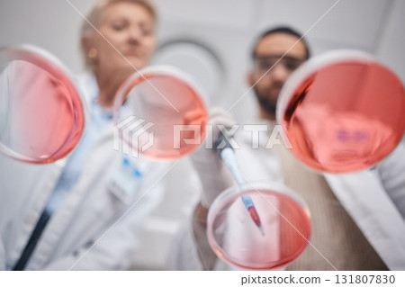 Research, laboratory and science by technician team in analytics with a sample in lab with petri dish. Professional, below and medical scientists as teamwork, DNA and collaboration in chemistry 131807830