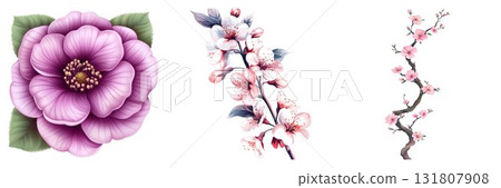 Elegant Floral Set with Blooming Cherry Blossoms and a Delicate Purple Flower Isolated 131807908