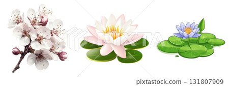 Three Varied Floral Illustrations: Delicate Almond Blossom, Elegant White Water Lily, and Violet Lotus 131807909