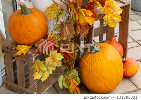 Batch orange fresh pumpkins on the city street. Autumn nature background for Halloween decoration.  131808321
