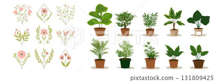 Collection of potted houseplants and botanical line drawings isolated on white background Collection of potted houseplants and botanical line drawings isolated on white background 131809425