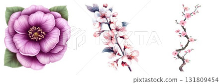 Delicate pink floral arrangements for elegant designs isolated on white background 131809454