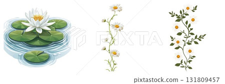 Nature triptych water lily and delicate branch designs isolated on white background Nature triptych water lily and delicate branch designs isolated on white background 131809457