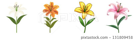 Collection of four vibrant lily flowers in different colors isolated on white background 131809458
