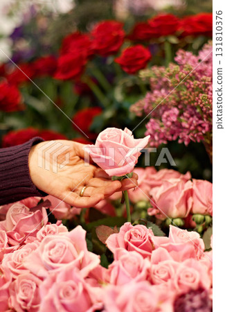 Roses, hands outdoor and plants in garden for peace, color and growth for valentines day gift. Flowers, plant leaves and sustainable gardening for beauty, bouquet and spring floral bush in nature Roses, hands outdoor and plants in garden for peace, color and growth for valentines day gift. Flowers, plant leaves and sustainable gardening for beauty, bouquet and spring floral bush in nature 131810376