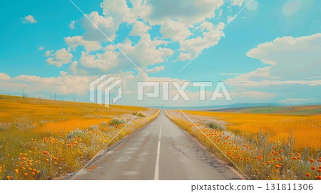 Long asphalt road stretches through a field of blooming yellow wildflowers under a bright blue sky with fluffy clouds 131811306