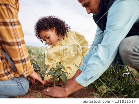 Farming family, parents or child planting in soil agriculture, sustainability learning or future growth planning for food. Man, woman or farmer kid with ground leaf in nature countryside environment 131811517