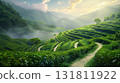 Expansive green tea terraces cascade down rolling hills under a soft hazy sky with sun rays 131811922