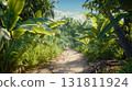 A sunlit pathway through lush green jungle foliage with banana leaves and palm trees 131811924