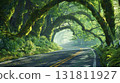 An asphalt road curves through a lush green forest with moss covered trees forming archways overhead 131811927