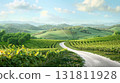 Rolling green hills with vineyards and a dirt road winding through a pastoral landscape 131811928