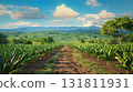 Expansive green banana plantation stretching towards distant blue mountains under a bright sky 131811931