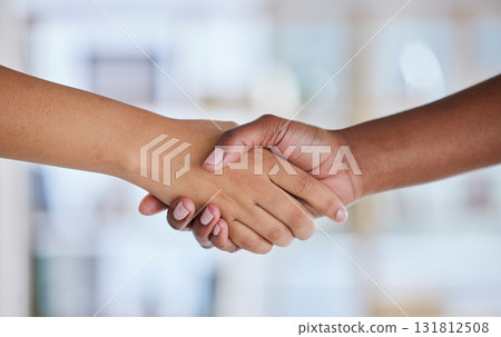Business people, handshake or collaboration in office, company or startup deal, teamwork or job interview success. Zoom, black woman or hiring manager in shaking hands gesture, thank you or welcome 131812508