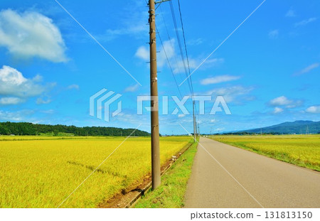 肥沃的鄉村 131813150