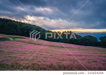[Dawn] Akasoba Village [Minowa Town, Kamiina District] 131814104