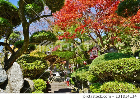 Autumn leaves at Akashiji Temple, Mt. Genko, Sasaguri 131814134