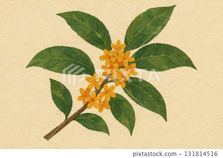 Osmanthus fragrant olive collage style 131814516