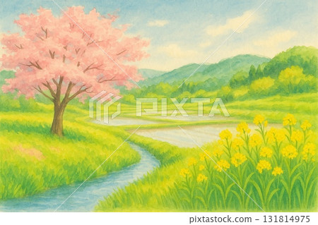 Spring Satoyama landscape: Cherry blossoms, rape blossoms, babbling brook, watercolor painting 131814975