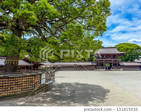 Meiji shrine in Yoyogi park in Shibuya, Tokyo, Japan 131815010