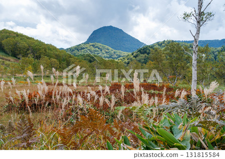 田之原沼澤和笠岳岳 131815584