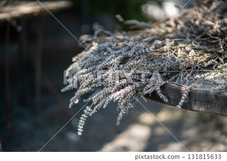 Dry lavender flowers plants branches on wooden table on farm, raw for production aroma products. 131815633