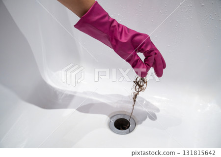 Hand pulls hair out of bathroom drain. Palm in purple latex glove removing shock of hair from siphon 131815642