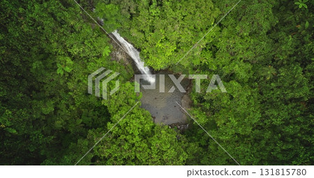 Fiji, Nadi Waterfall: Breathtaking aerial view huge waterfall cascading into a tranquil pond within a vibrant, untouched green rainforest. Drone flight panorama 131815780