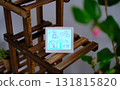 A digital weather station and thermometer displayed in a cozy home environment 131815820