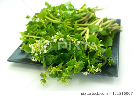Flower wasabi on a plate 131816007