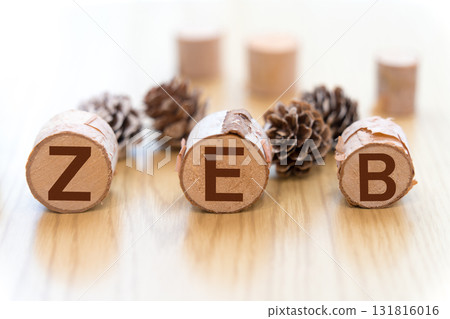 The letters ZEB written on the logs The letters ZEB written on the logs 131816016