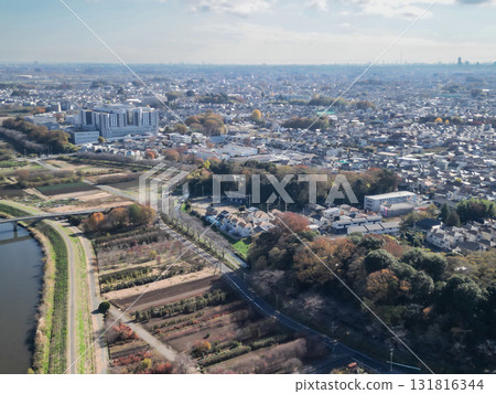 Aerial view of autumn scenery of Minuma rice fields in Saitama Prefecture, Minuma Ward, Saitama City 131816344