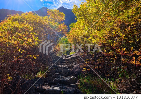 北阿爾卑斯山穗高山脈的唐澤，紅葉紛飛 131816377