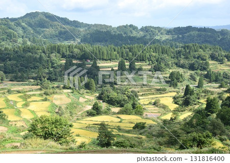 十日町星峠梯田 十日町星峠梯田 131816400