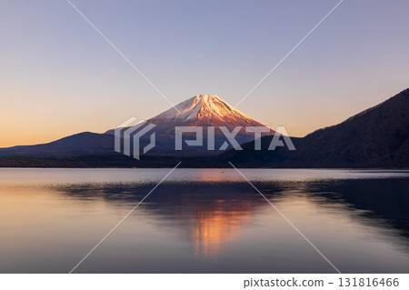 山梨縣 本棲湖夕陽映照下的富士山 山梨縣 本棲湖夕陽映照下的富士山 131816466