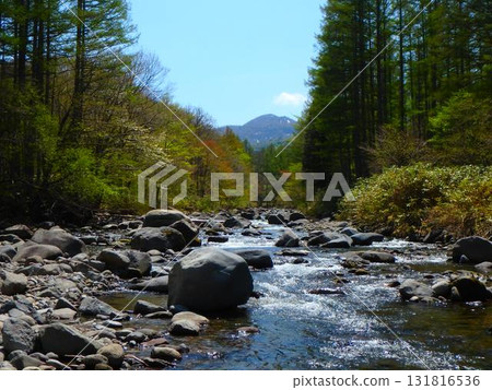Looking up at the snow-capped mountains - Memories of the source of the Shogawa River 131816536