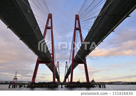 Meito Triton 131816830