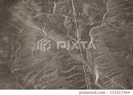 Nazca Lines, Peru, South America: Monkeys Nazca Lines, Peru, South America: Monkeys 131817264