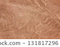 Nazca Lines, Peru, South America, Monkey 131817296