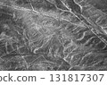 Nazca Lines, Peru, South America: Monkeys 131817307