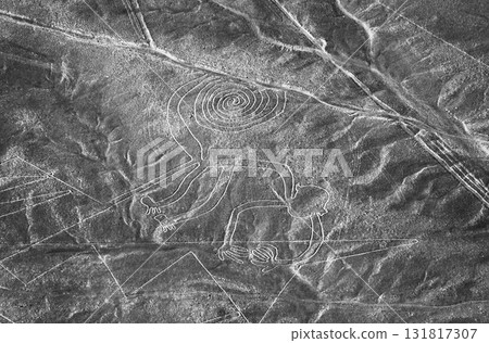 納斯卡線條，秘魯，南美洲：猴子 131817307