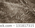 Nazca Lines, Peru, South America: Monkeys 131817315