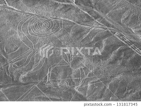 納斯卡線條,秘魯,南美洲:猴子 納斯卡線條,秘魯,南美洲:猴子 131817345