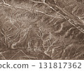 Nazca Lines, Peru, South America: Monkeys 131817362