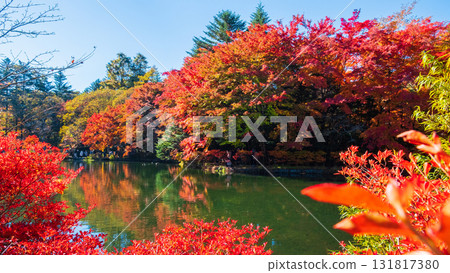 Karuizawa, Kumoba Pond (Autumn) 131817380