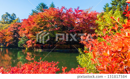 Karuizawa, Kumoba Pond (Autumn) 131817384